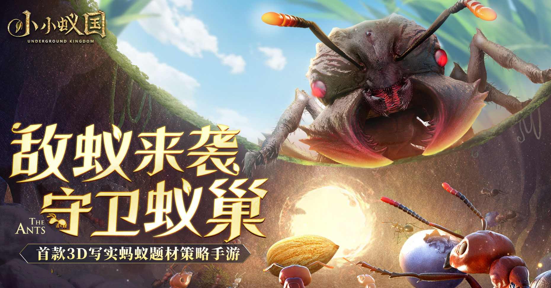 小小蚁国
小小蚁国